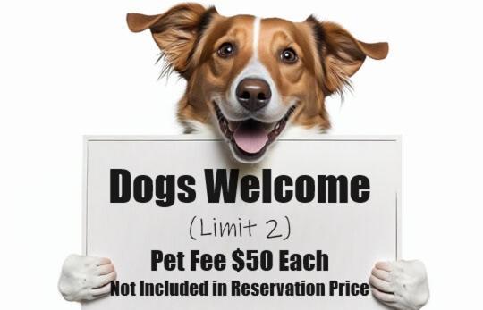 Walk To Downtown * 6 Guests * Pets * A/C! * No Stairs! Apartment Leavenworth Ngoại thất bức ảnh